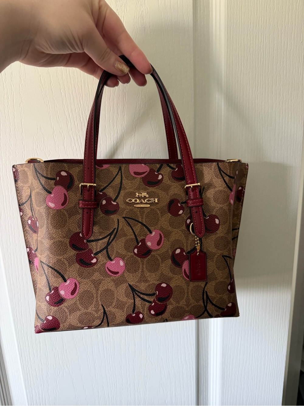 Coach Cherry Mollie 25 tote